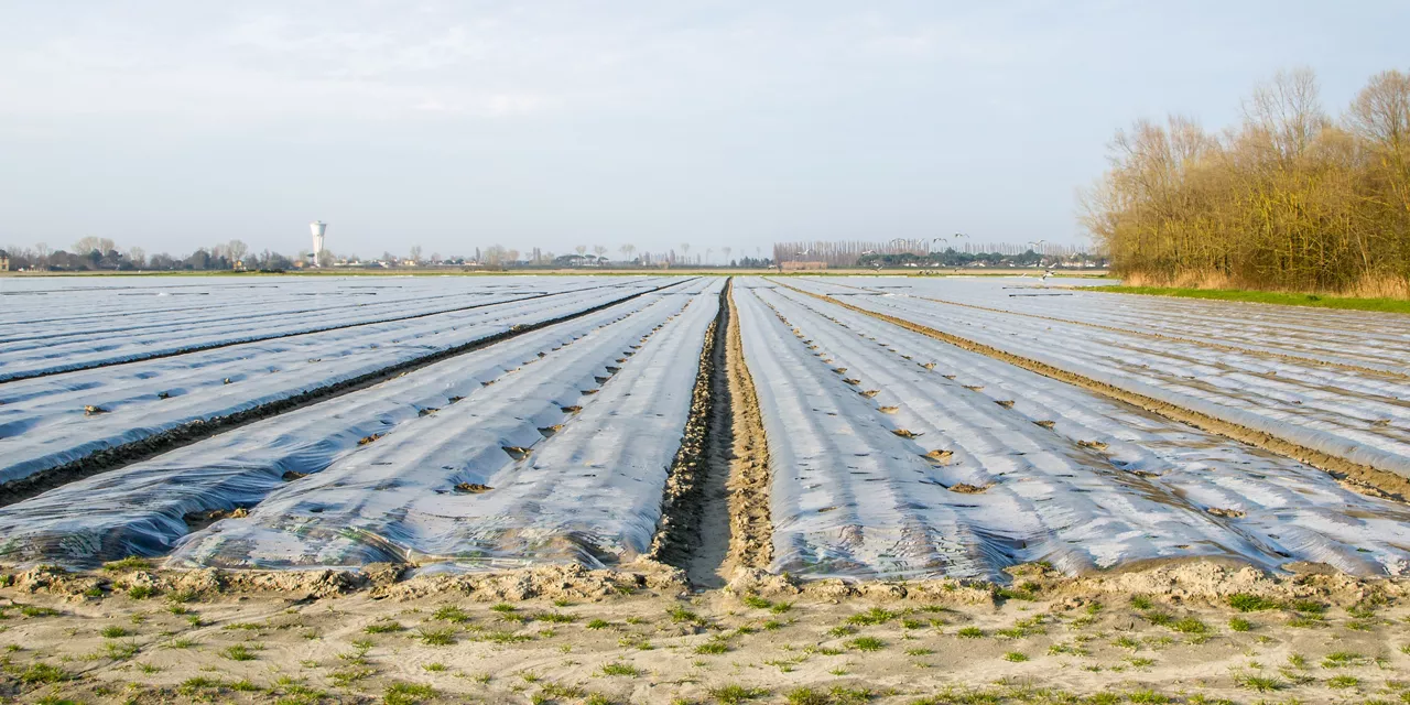 Plasticulture