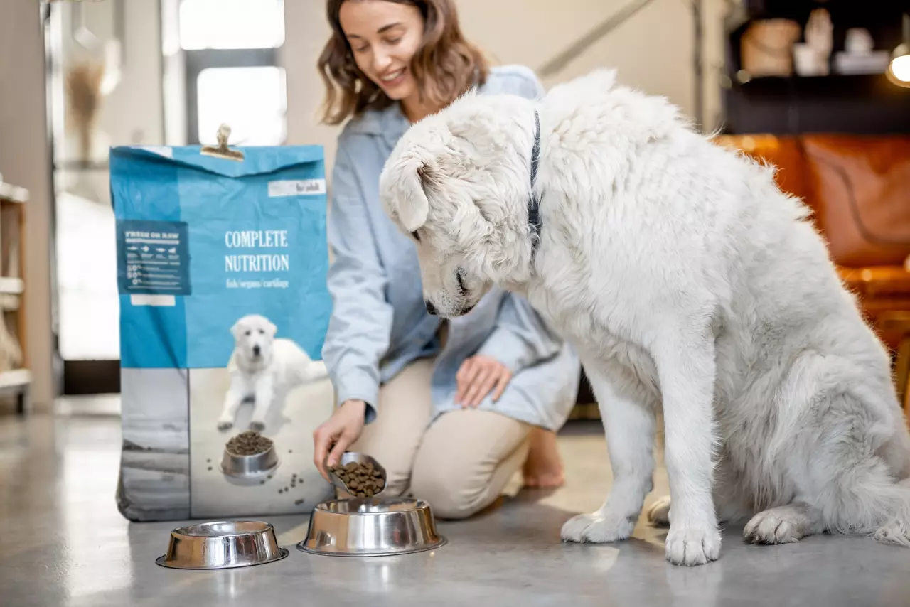 Woman feeding a dog 